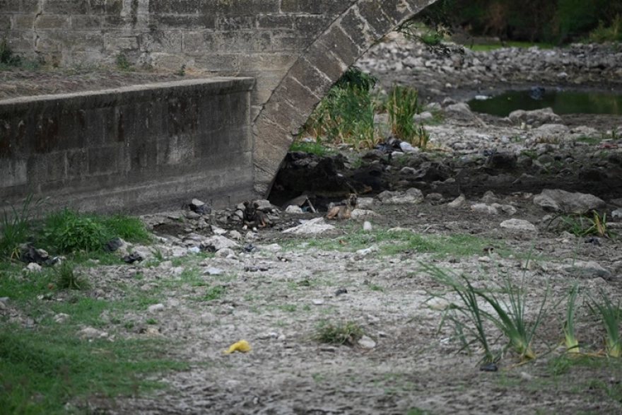 Tunca Nehri'nde Su Akışı Durdu