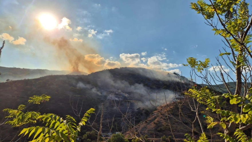 Tekirdağ'da yeniden alevlenen yangına müdahale devam ediyor