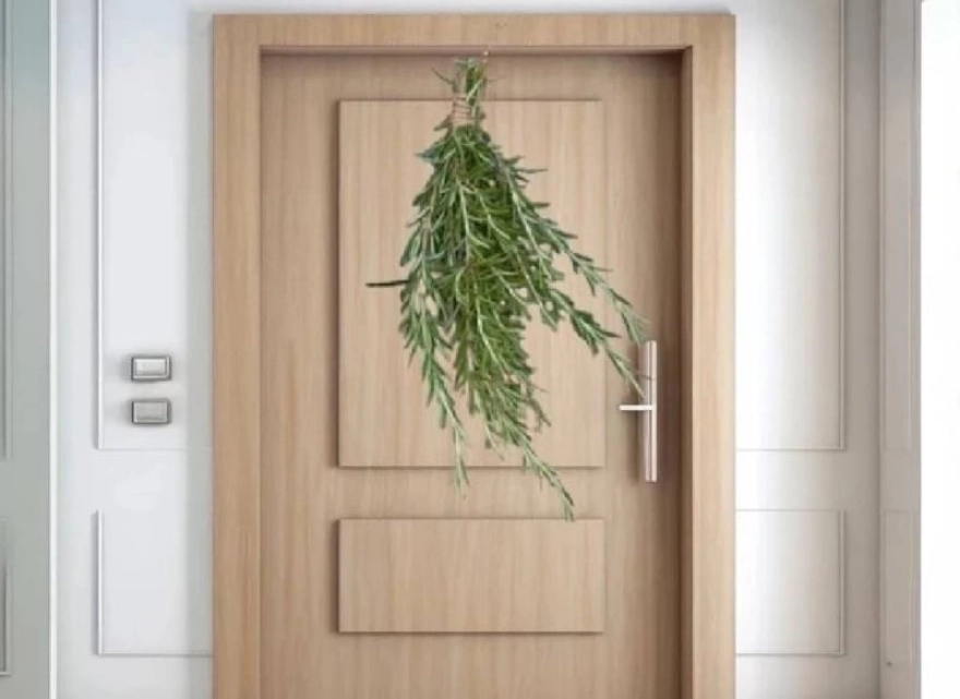 Kapıya 2 dal biberiye asarak bir sorundan kalıcı olarak kurtulmak mümkün