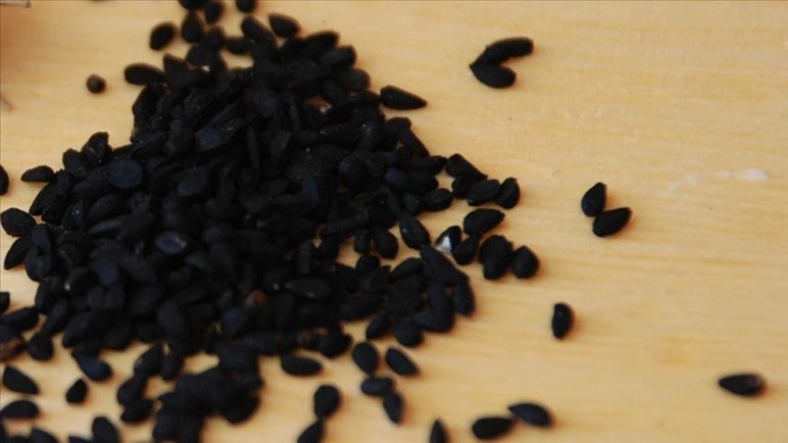 Aç karnına çörek otu yutmanın faydaları: O sorunlardan eser kalmıyor.