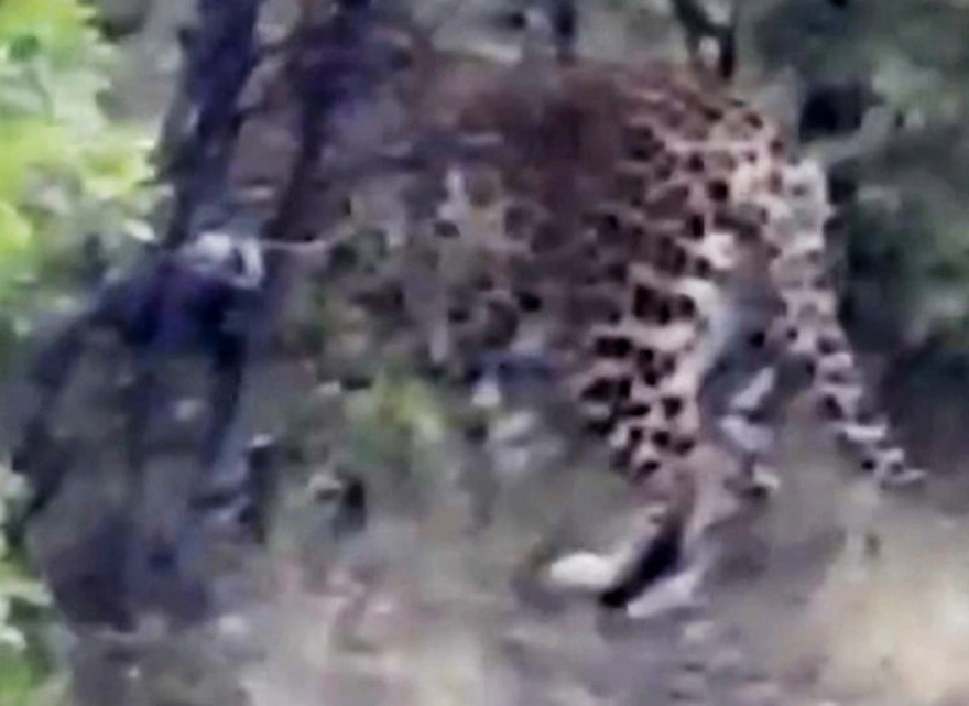 Zarar vermenin cezası 45 milyon TL ve hapis! Antalya'da böyle görüntülendi