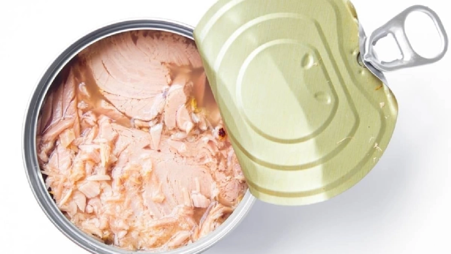 Yıllardır Yanlış Bilinen Ton Balığı Tüketimi Ortaya Çıktı