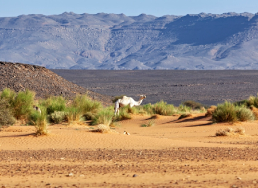 On binlerce yıldır varlığını sürdüren gizemli bir insan soyu ortaya çıkarıldı