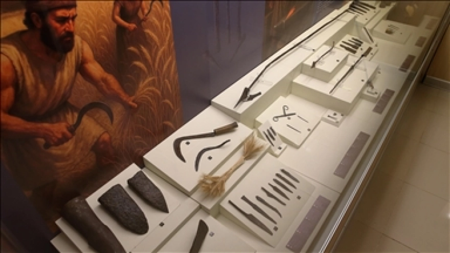 Çorum'da 2800 Yıllık Hitit Orağı ile Osmanlı Dönemi Orağı Birlikte Sergileniyor