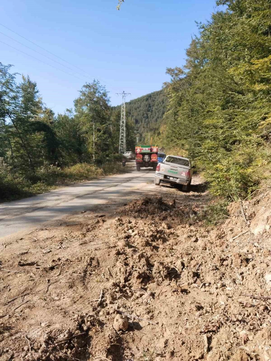 Türkeli'de ormanlık alanda örtü yangını çıktı.