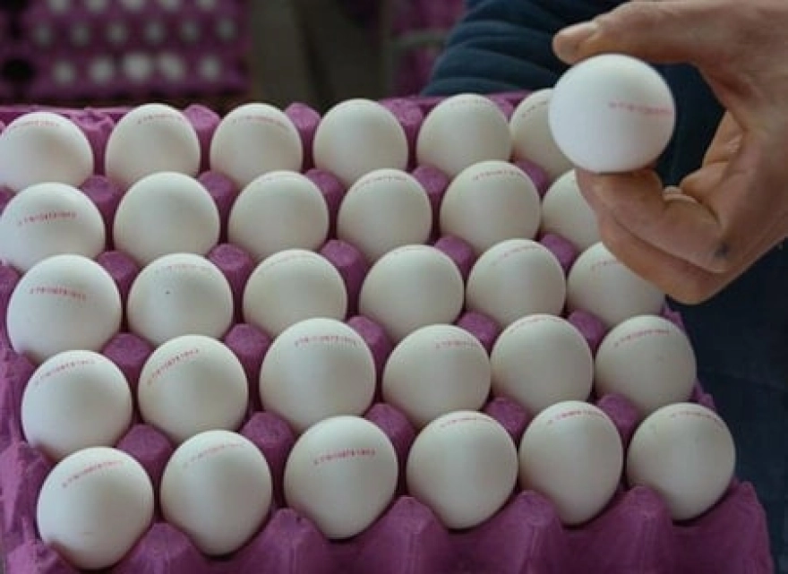 Yumurtada gizli bakteri tehlikesi: Bu ayrıntıya bakmadan sakın almayın