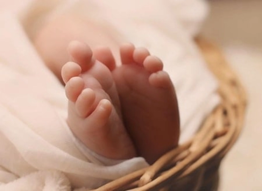 Bir yasak kararına rağmen yeni doğum yapan Grönlandlı annenin bebeği elinden alındı: Gerekçe 18 yıl öncesine dayanıyor