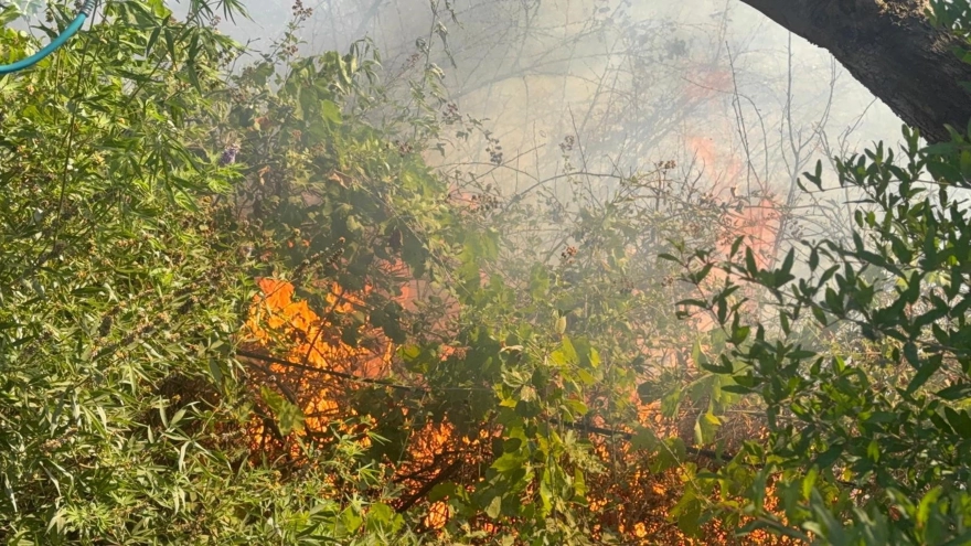 İzmir'deki Yangın Akaryakıt İstasyonuna Ulaşamadan Kontrol Altına Alındı