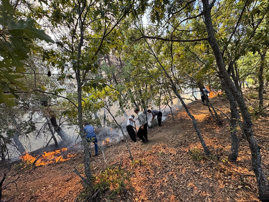 Orman yangınlarına havadan ve karadan müdahale sürüyor