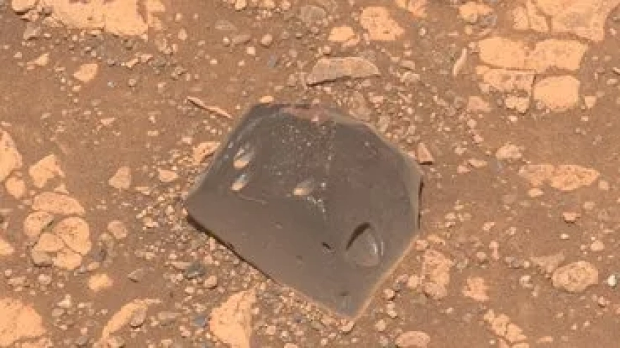 Gizemli mantar, örümcekleri zombiye çeviriyor. Bilim insanları sırada insanların olup olmadığını araştırıyor.