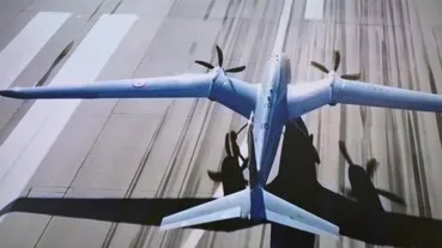 Gizemli mantar, örümcekleri zombiye çeviriyor. Bilim insanları sırada insanların olup olmadığını araştırıyor.