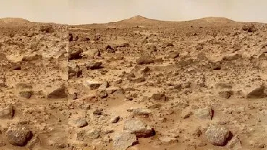 Gizemli mantar, örümcekleri zombiye çeviriyor