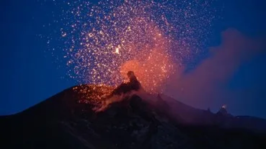 Gizemli mantar, örümcekleri zombiye çeviriyor