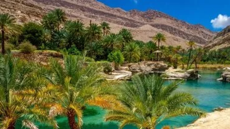 Gizemli mantar, örümcekleri zombiye çeviriyor