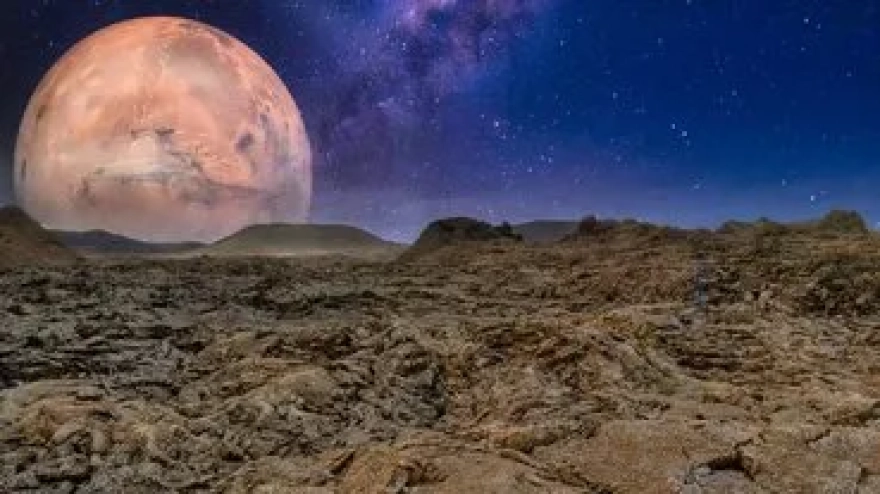 Gizemli mantar, örümcekleri zombiye çeviriyor