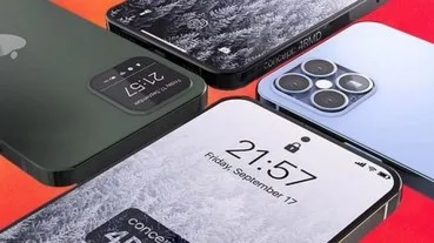 Gizemli mantar, örümcekleri zombiye çeviriyor