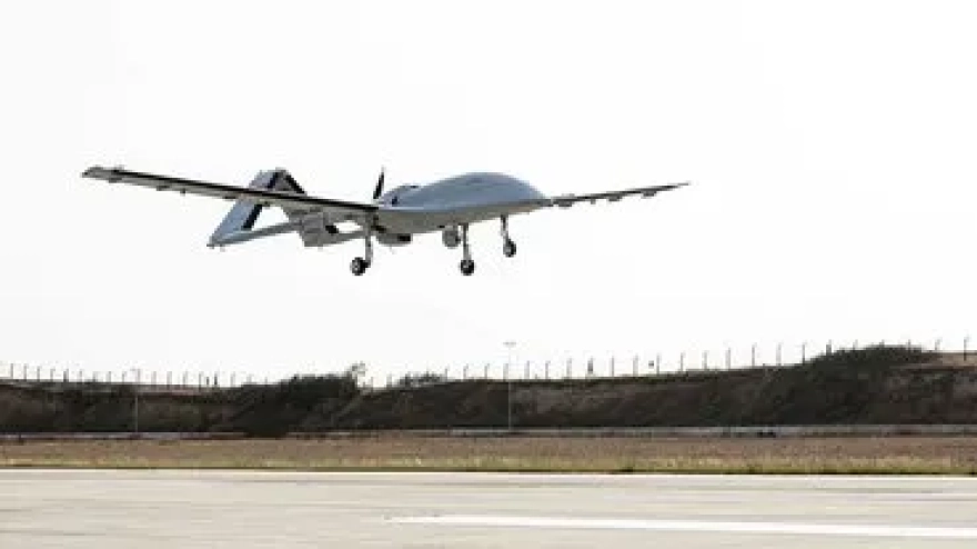 Gizemli mantar, örümcekleri zombiye çeviriyor