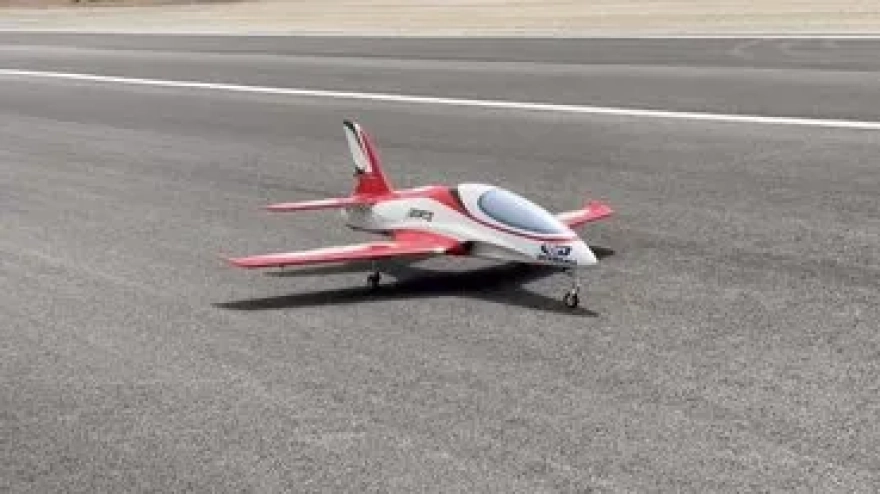 Gizemli mantar, örümcekleri zombiye çeviriyor