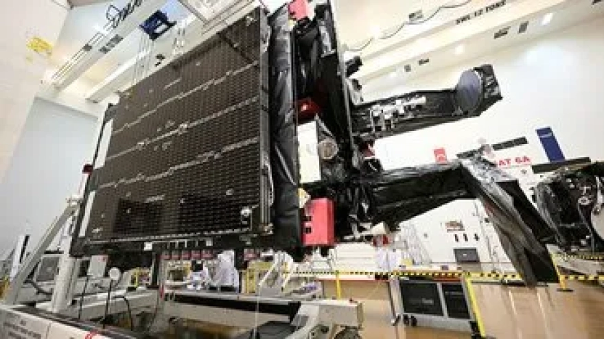 Gizemli mantar, örümcekleri 'zombi'ye dönüştürüyor: Sırada insanlar mı var?