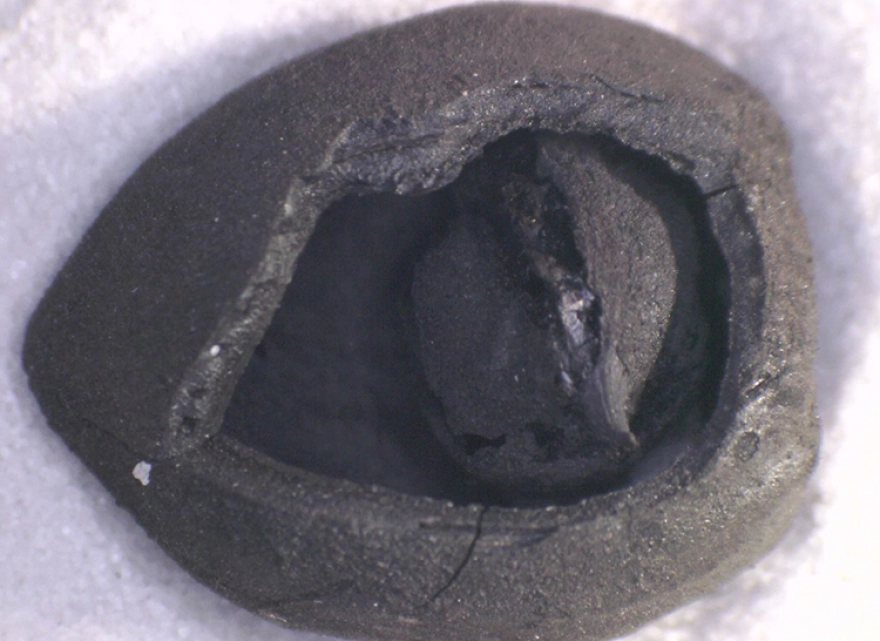 Kütahya Tavşanlı'da 4 bin yıllık nohut ve Konya Çatalhöyük'te 8 bin 600 yıllık ekmek kalıntıları keşfedildi