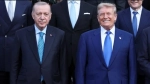 Erdoğan ile Trump Lahey'de bir araya geldi: İkili, bölgesel ve küresel konular ele alındı.