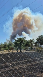 İzmir Bornova'da orman yangını çıktı