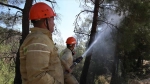 Hatay'daki yangınla mücadele eden 'alev savaşçıları'nın zorlu çalışması devam ediyor