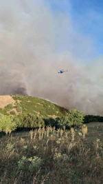 Manisa'daki yangın Uşak'a doğru yayılıyor