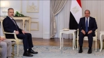 Bakan Fidan, Mısır Cumhurbaşkanı Sisi ile görüştü