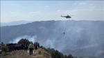 Çorum, Malatya ve Gümüşhane'de çıkan orman yangınlarına müdahale ediliyor