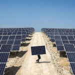 Aşırı Üretim Sebebiyle Fiyatlar Düştü: Son 14 Yılın En Düşük Seviyesinde